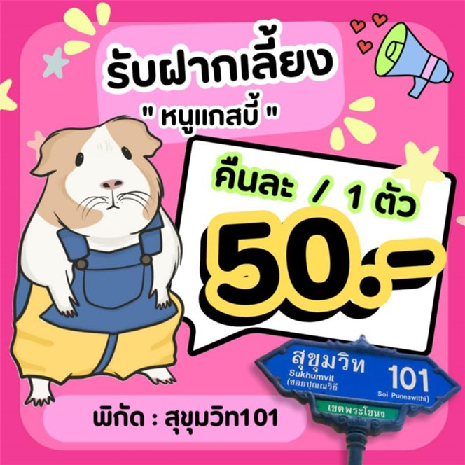 พิกัดสุขุมวิท101