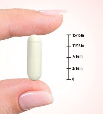 Nature's Truth Apple Cider Vinegar 1200 mg. (200/แคปซูล)