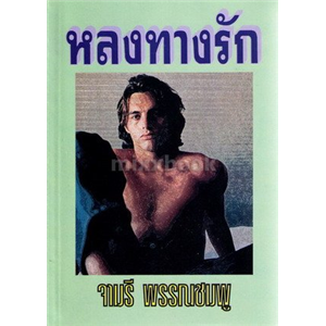 หลงทางรัก (ปกรุ่นเก่า)