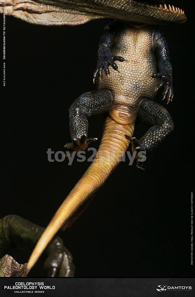 DAMTOYS Coelophysis Type A (green)