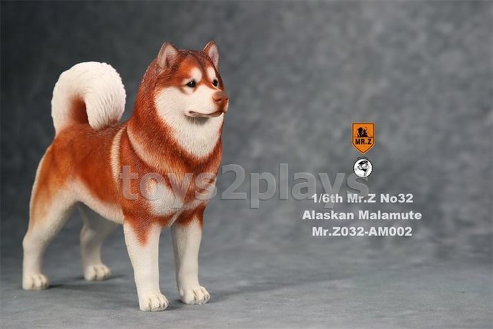 Mr.Z MRZ032-AM002 Alaskan Malamute Red Brown and White 