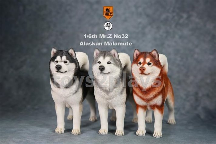 Mr.Z MRZ032-AM002 Alaskan Malamute Red Brown and White 