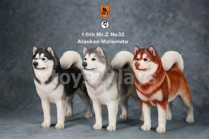 Mr.Z MRZ032-AM002 Alaskan Malamute Red Brown and White 