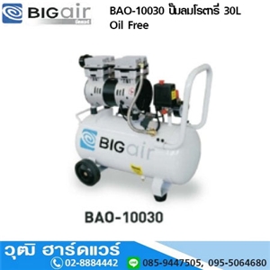 [BAO-10030-BIG] BIGAIR BAO-10030 ปั๊มลมโรตารี่ 30L Oil Free