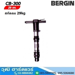 [CB-300-BERGIN] BERGIN CB-300 สกัดลม 30kg