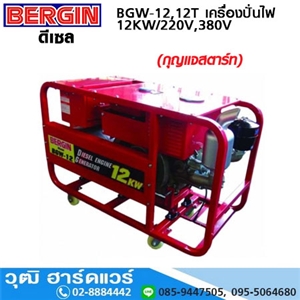 [BGW-12] BERGIN BGW-12 เครื่องปั่นไฟ 12kW/15KVA ดีเซล 22HP