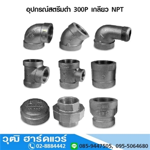 [228-40] อุปกรณ์สตรีมดำ 300P เกลียว NPT 