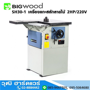 [SH30-1-BIG] BIGWOOD SH30-1 เครื่องแกะสลักลายไม้ 2HP/220V