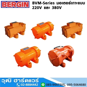 [BVM-Series] BERGIN BVM  มอเตอร์เกาะแบบ 220V และ 380V