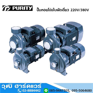 [PURITY] PURITY ปั๊มหอยโข่งใบพัดเดี่ยว 220V/380V